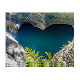 Nature (Print Only) thumbnail
