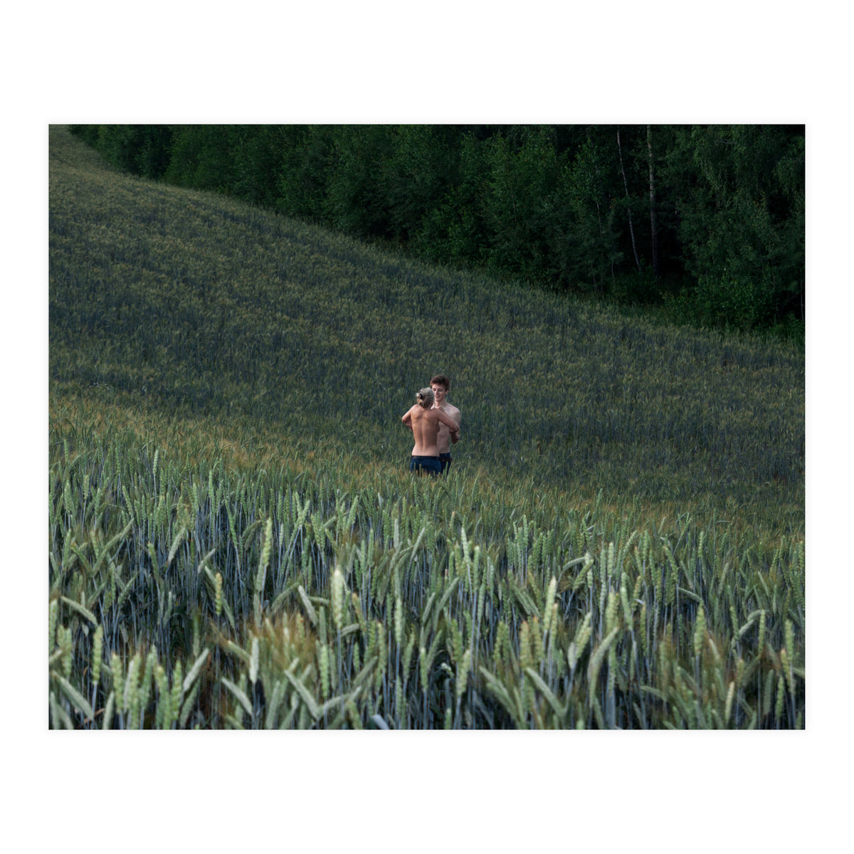 The kids Are all Wild (Print Only)