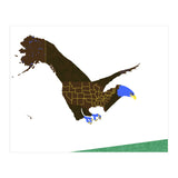American Bald Eagle (Print Only) thumbnail