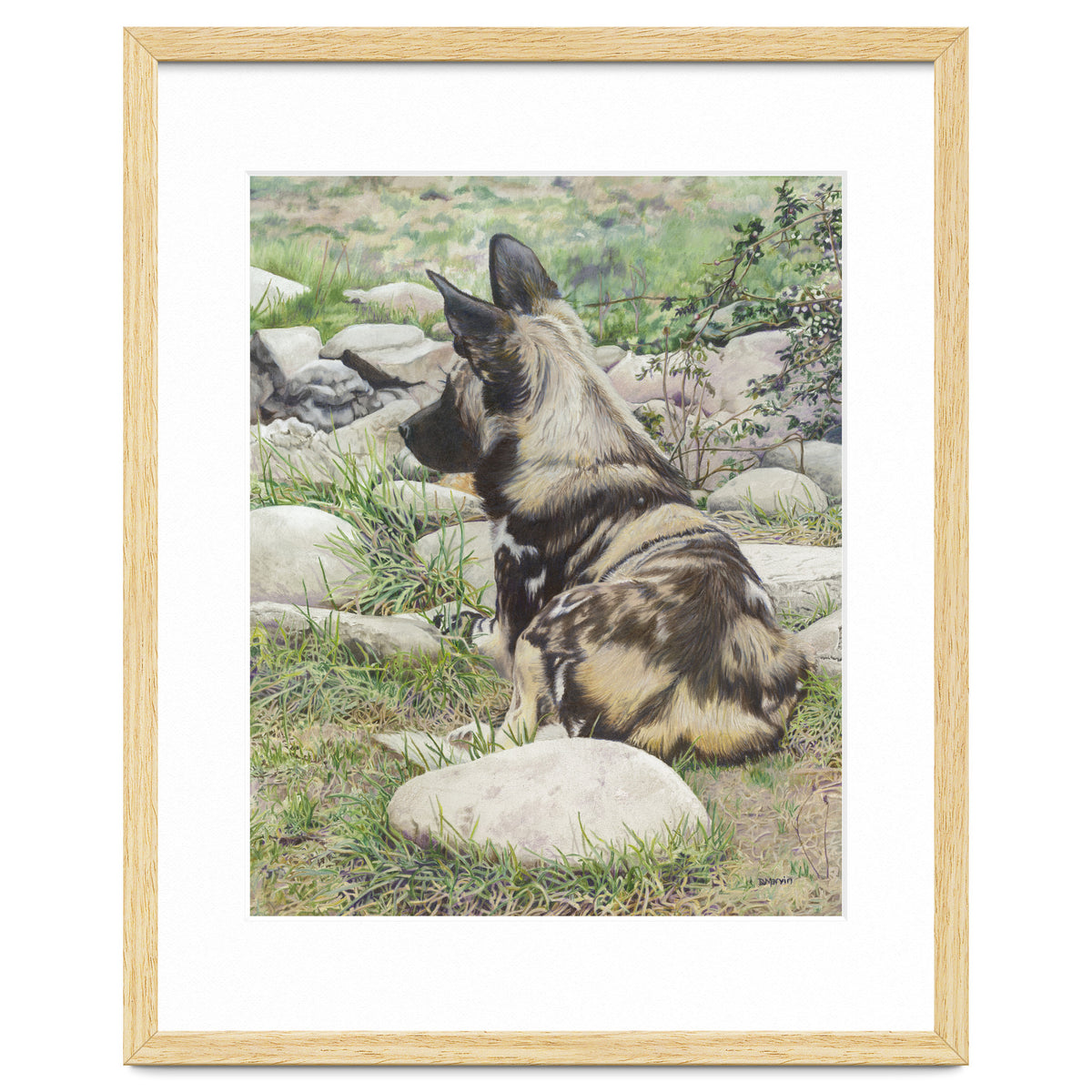 African Painted Dog I