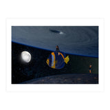 Fish fly (Print Only) thumbnail