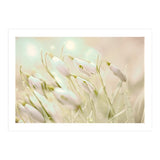 Enchanting Snowdrops (Print Only) thumbnail
