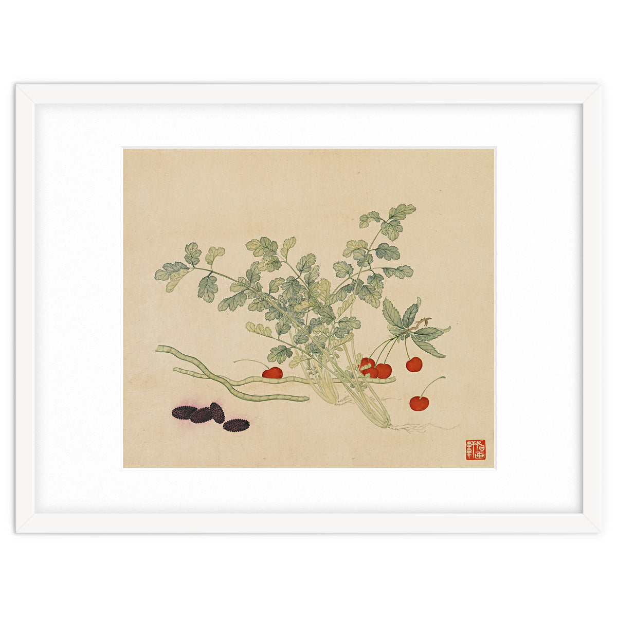 Wang Chengyu~flowers And Vegetables, Vegetables, Fruits, Beans, Red Beans, Cherries, Celery