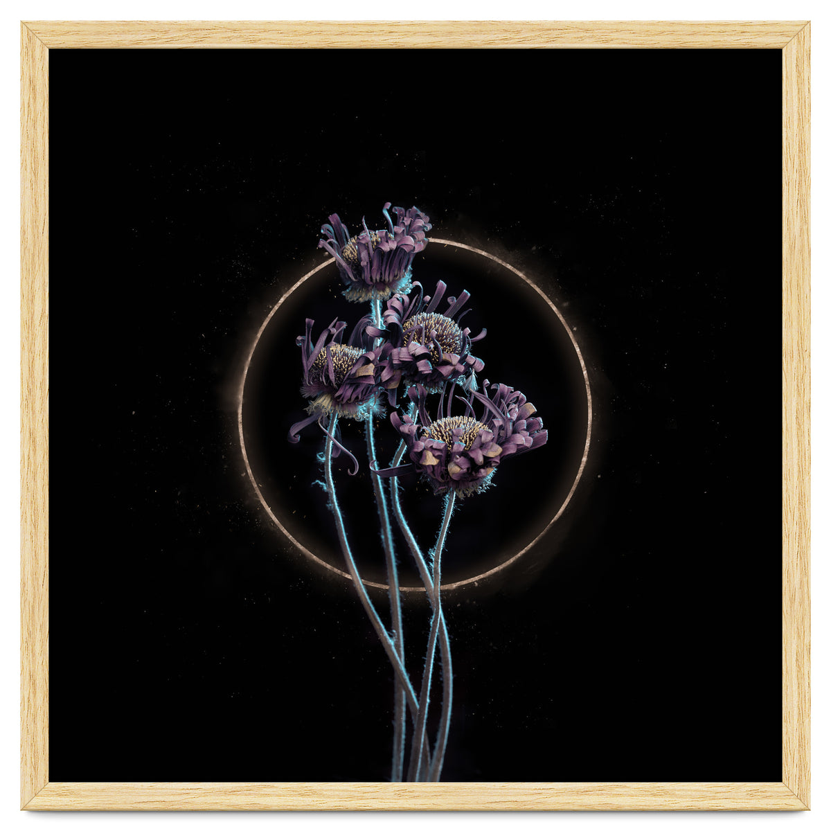 Candy-Coloured Mystery