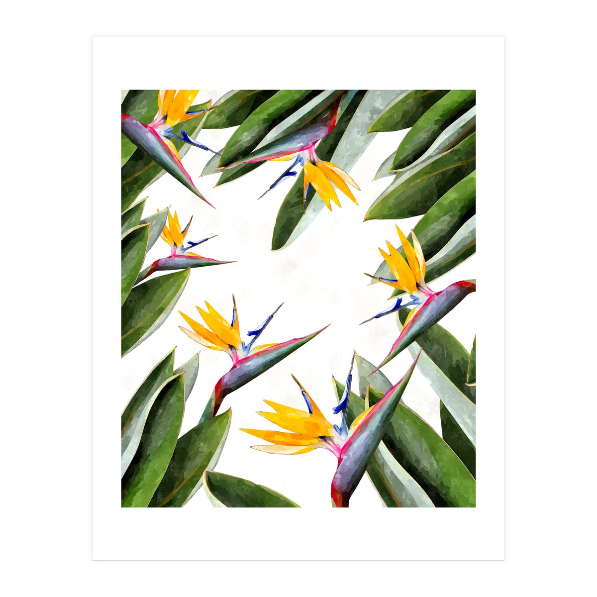 Bird Of Paradise (Print Only)