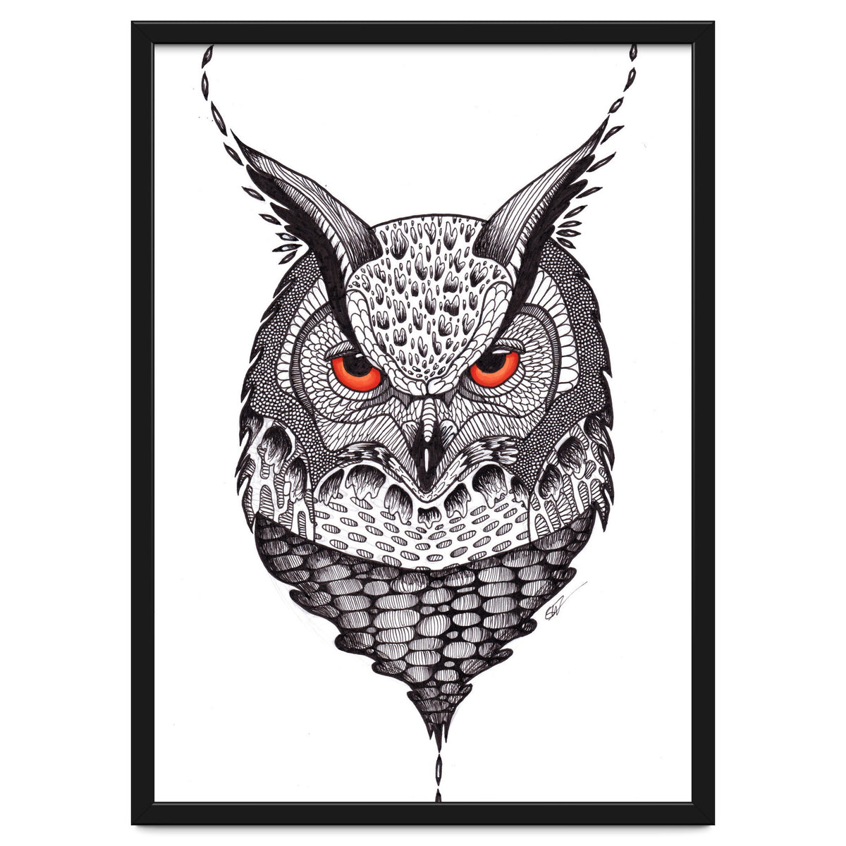 Owl