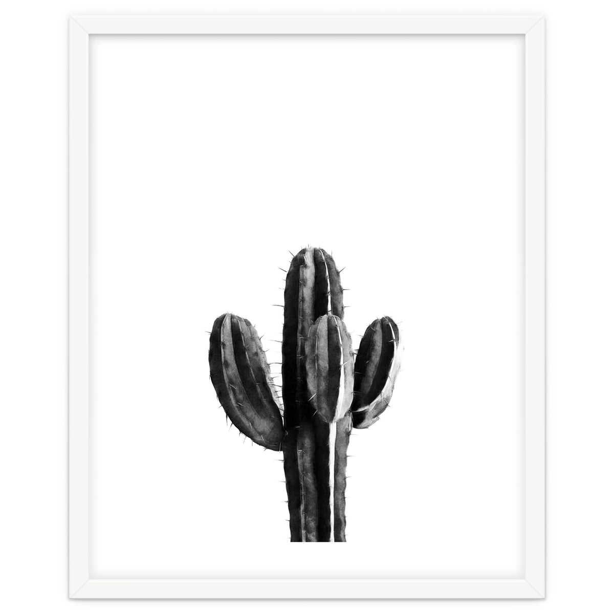 Cactus Black And White 03