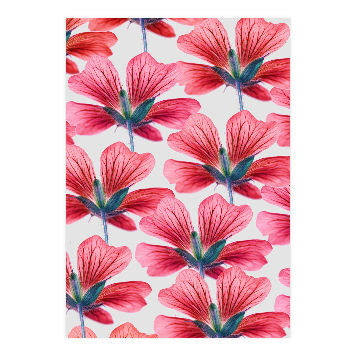 Floral Spirit  (Print Only)