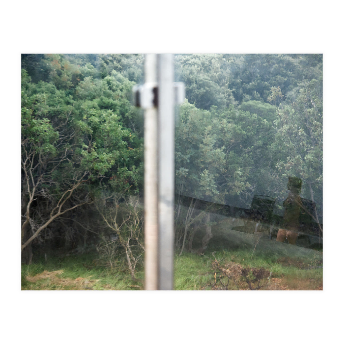 Diary of a Stalker (Print Only)