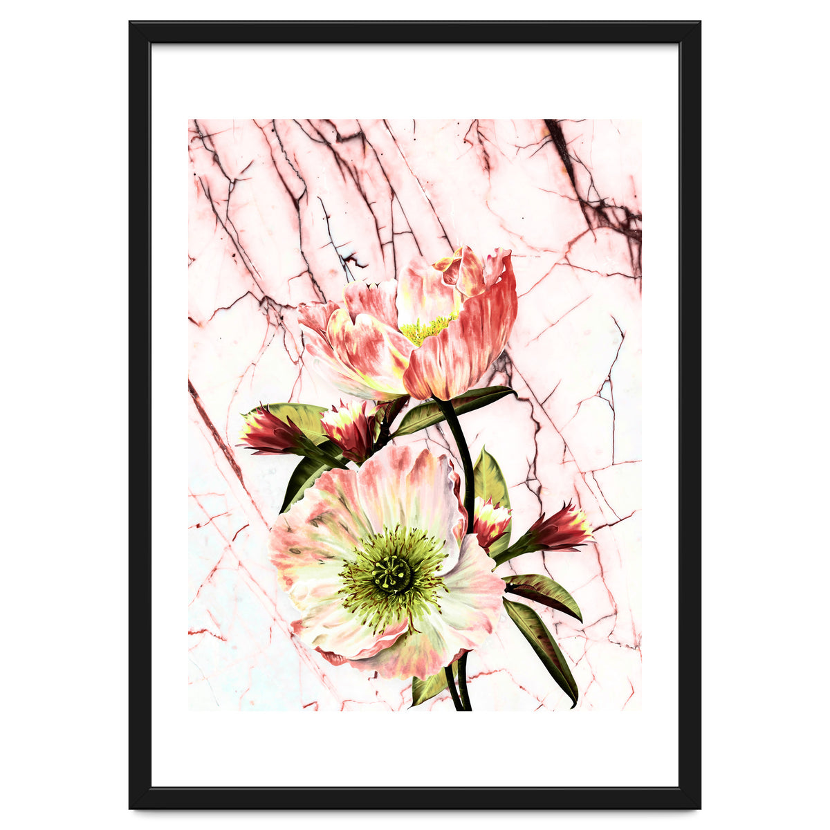 Flowering on pink marble