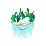 Swans In Love (Print Only) thumbnail