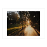 The Panhandle (Print Only) thumbnail