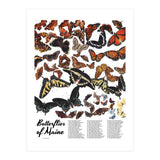 Maine Butterflies Chart (Print Only) thumbnail