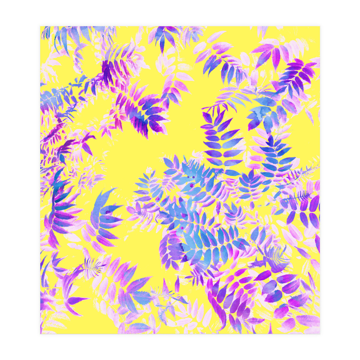 Vibrance (Print Only)