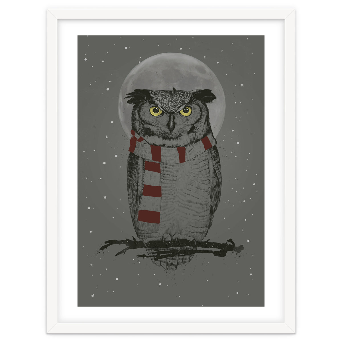Winter Owl
