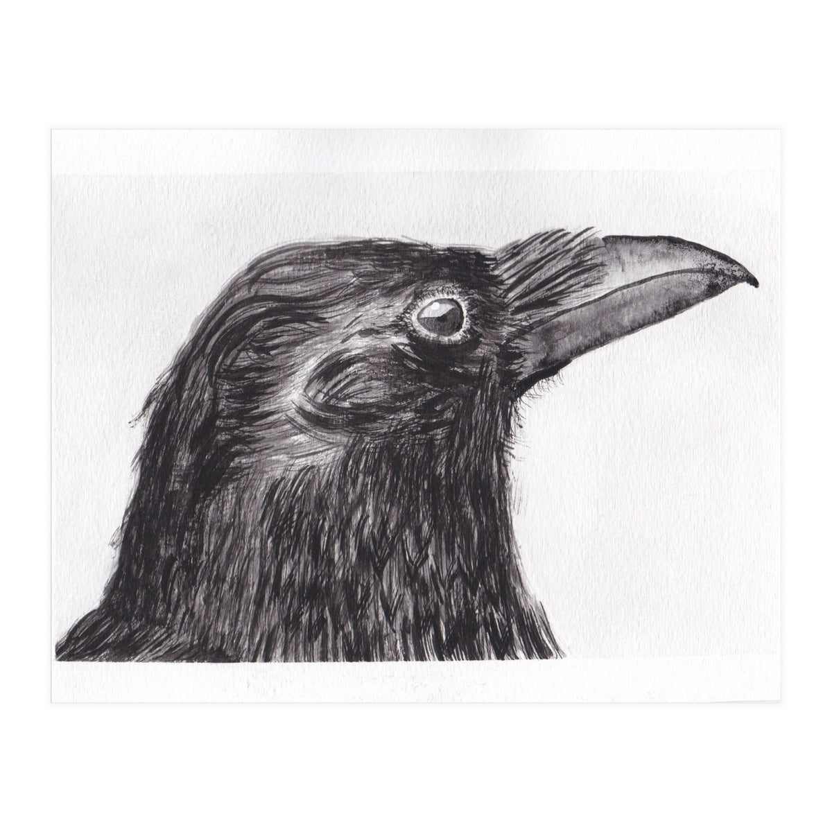 Crow (Print Only)