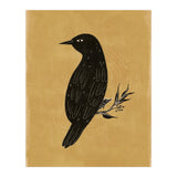 Black Bird (Print Only) thumbnail