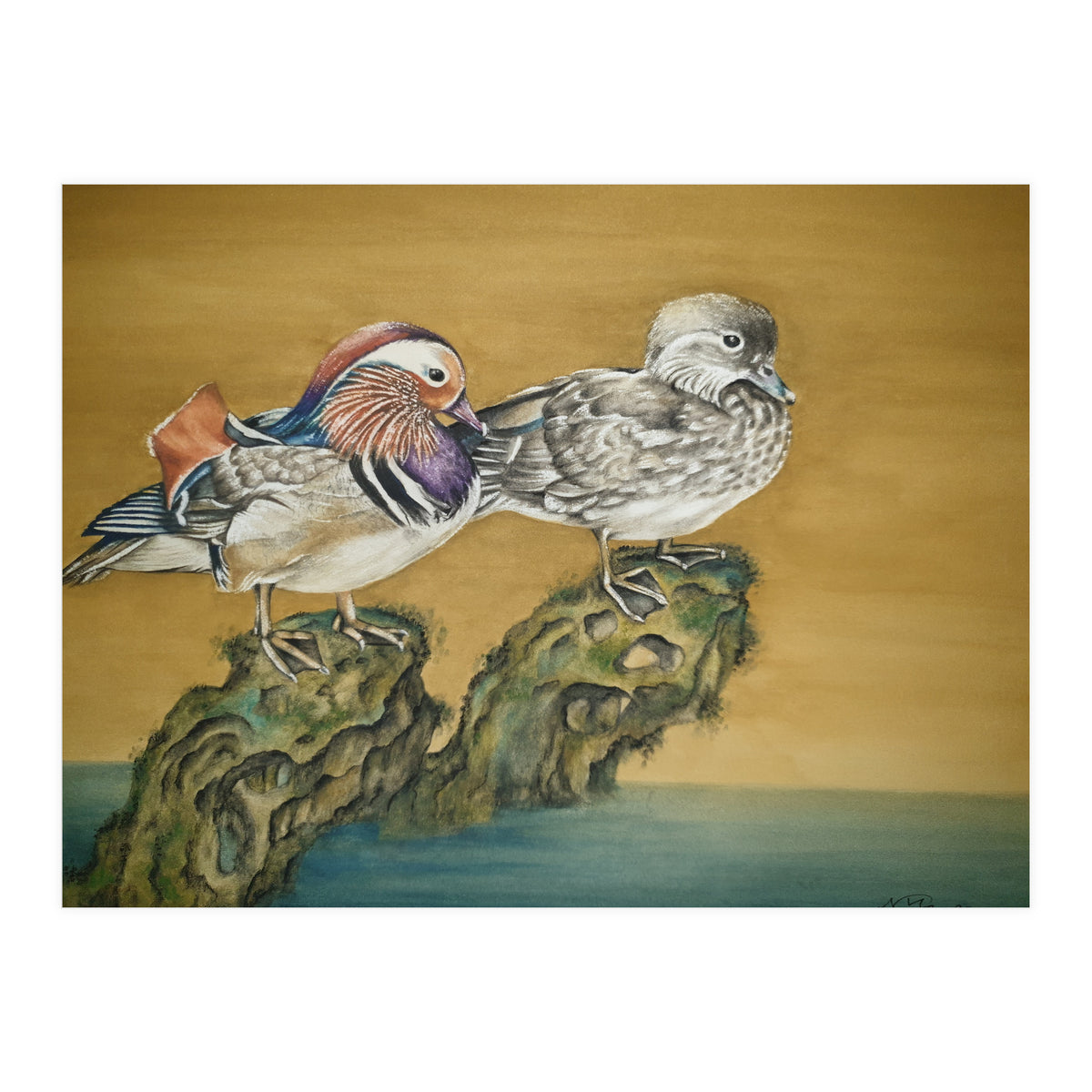 Mandarin Ducks (Print Only)