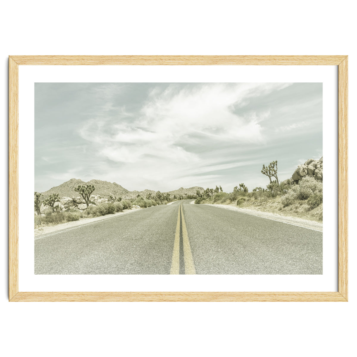 Joshua Trees, Park Boulevard | Vintage