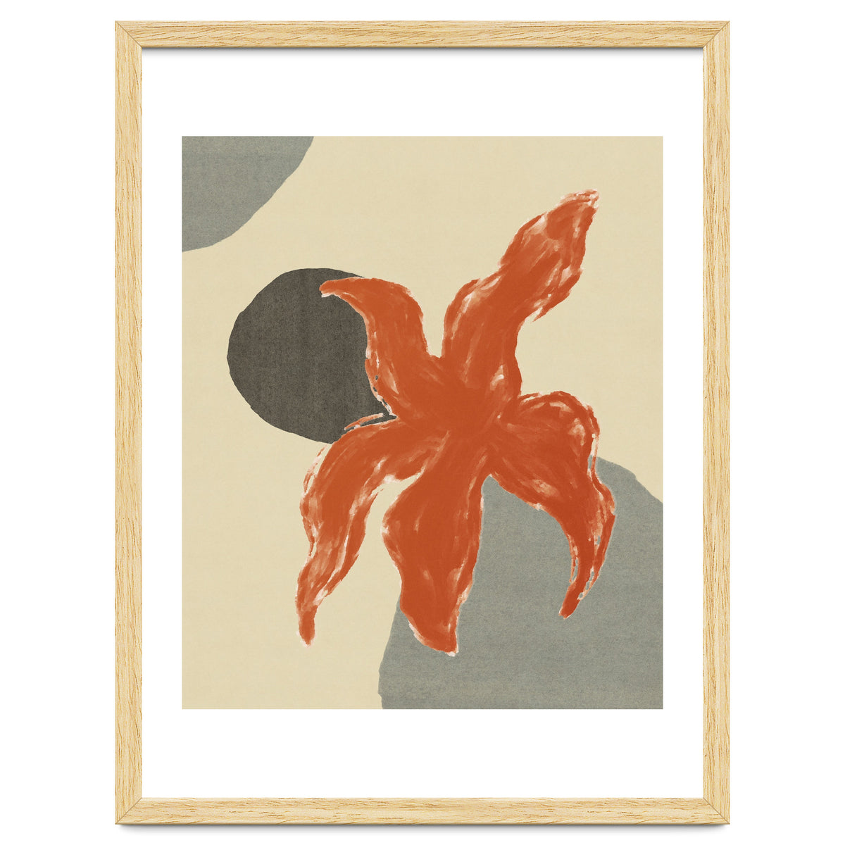 Wobbly Sea Star On Rocks \\ Abstract Composition