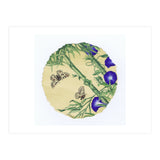 Circle 13 (Print Only) thumbnail
