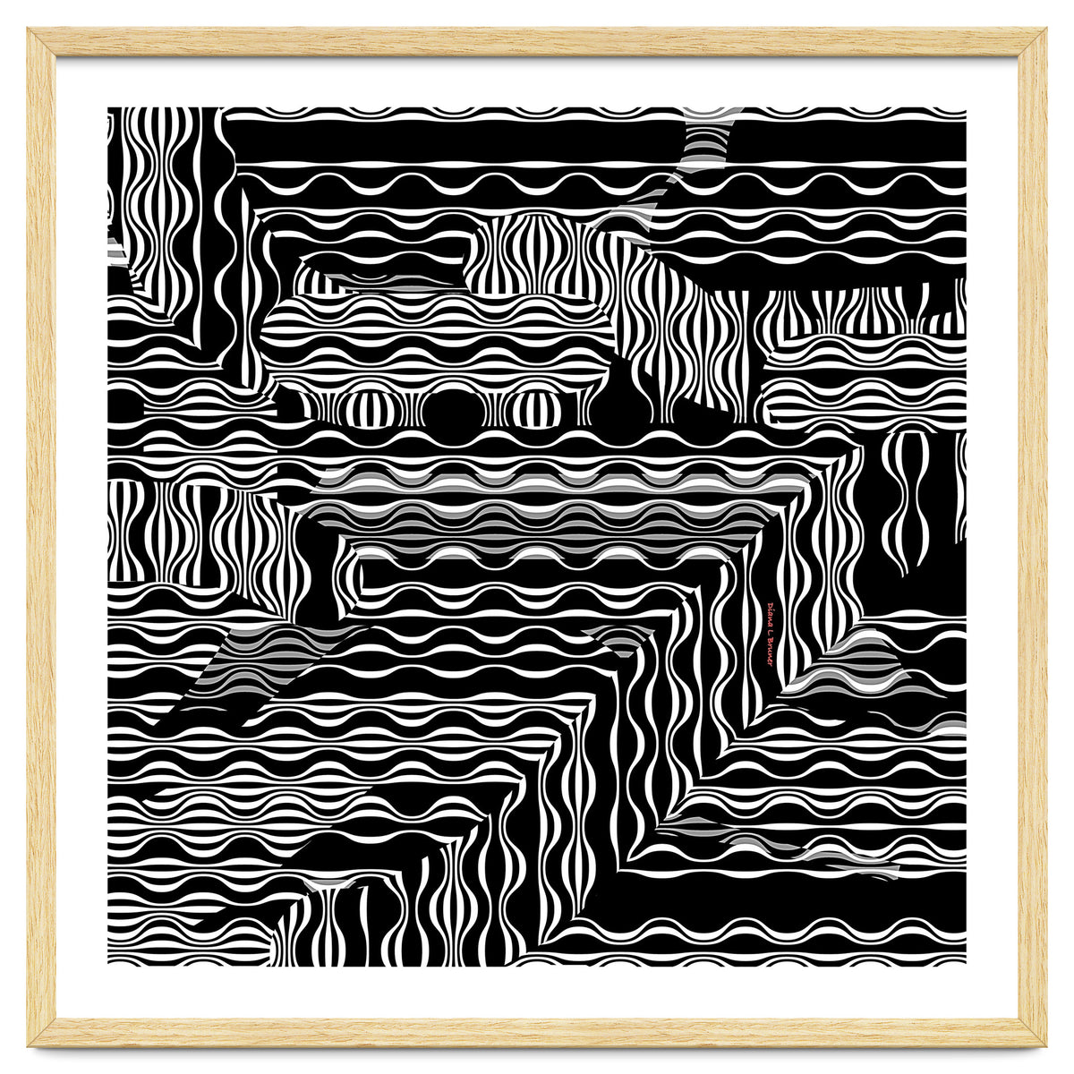 BLACK AND WHITE EXOTIC