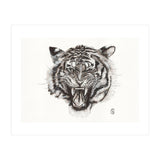 Tiger (Print Only) thumbnail
