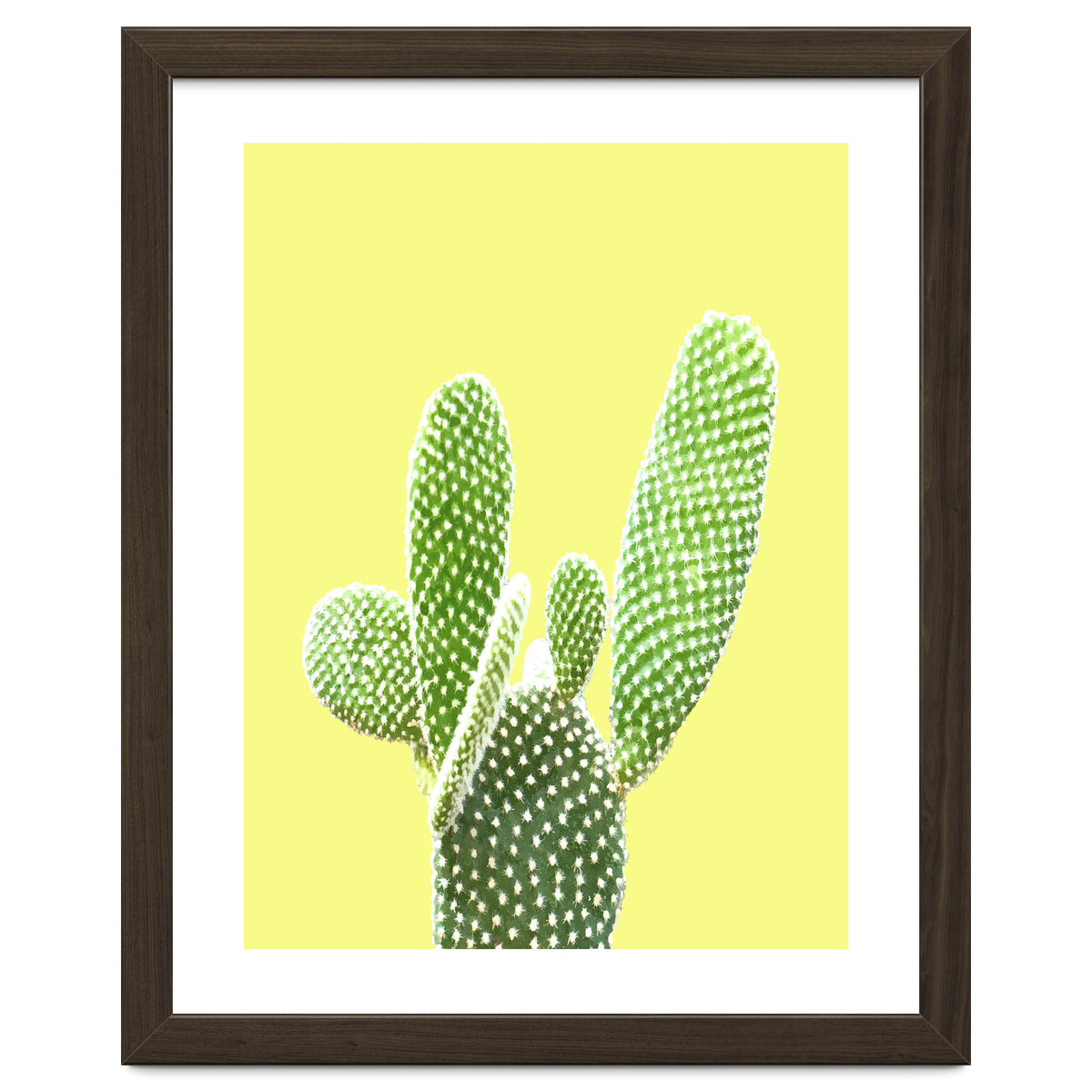 Cactus Yellow Background