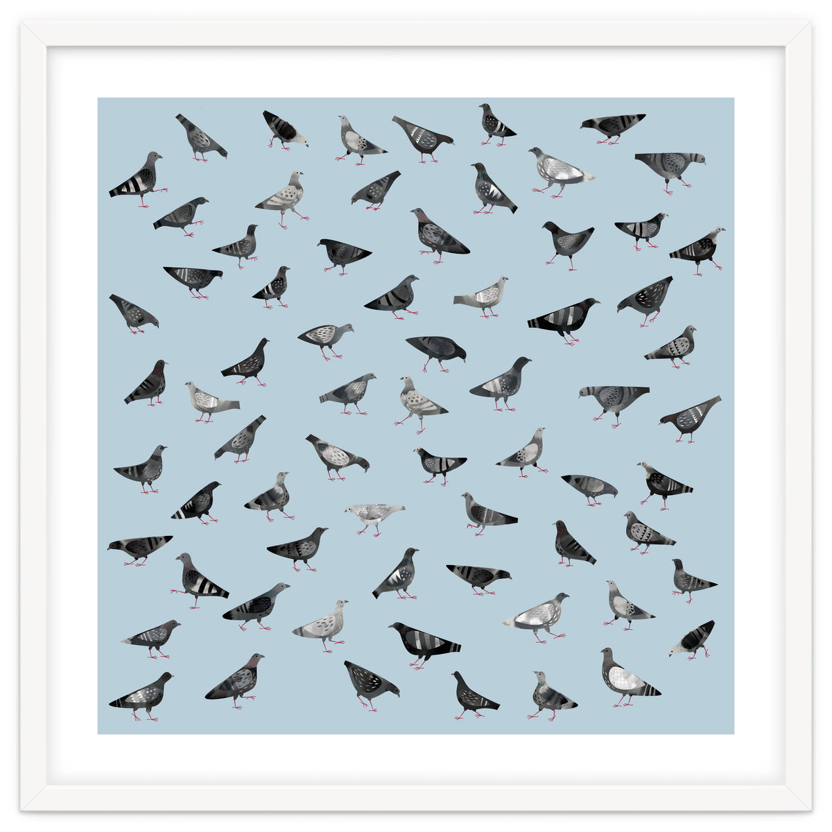 Pigeons Doing Pigeon Things