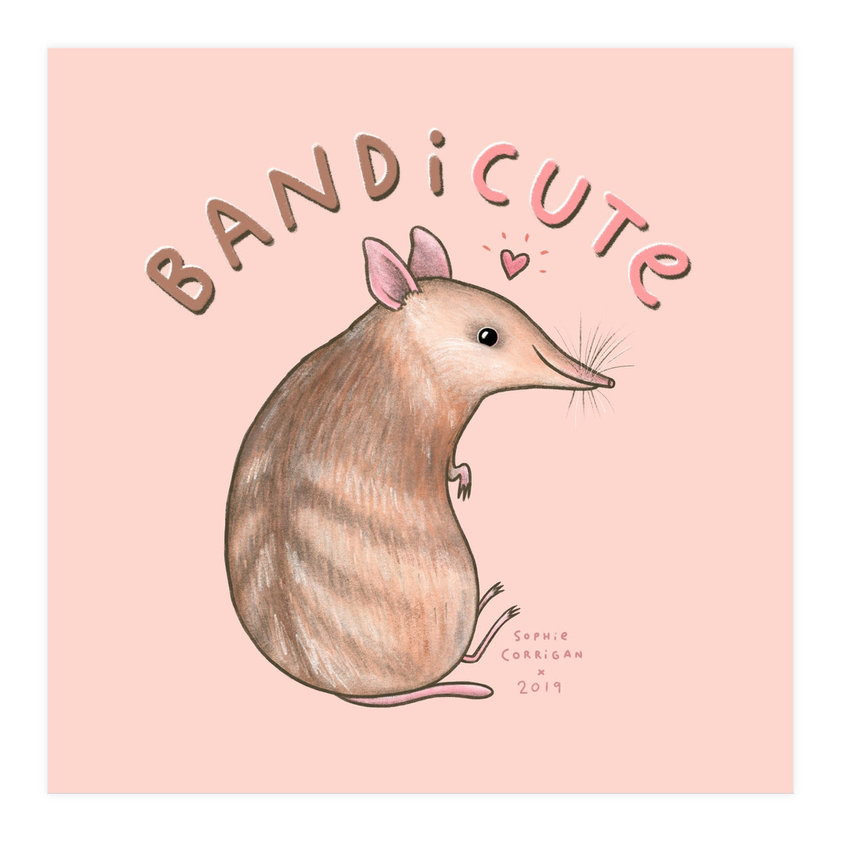 Bandicute (Print Only)