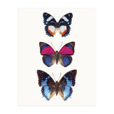 Cc Butterflies 03 (Print Only) thumbnail