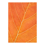 Autumn Leaf (Print Only) thumbnail