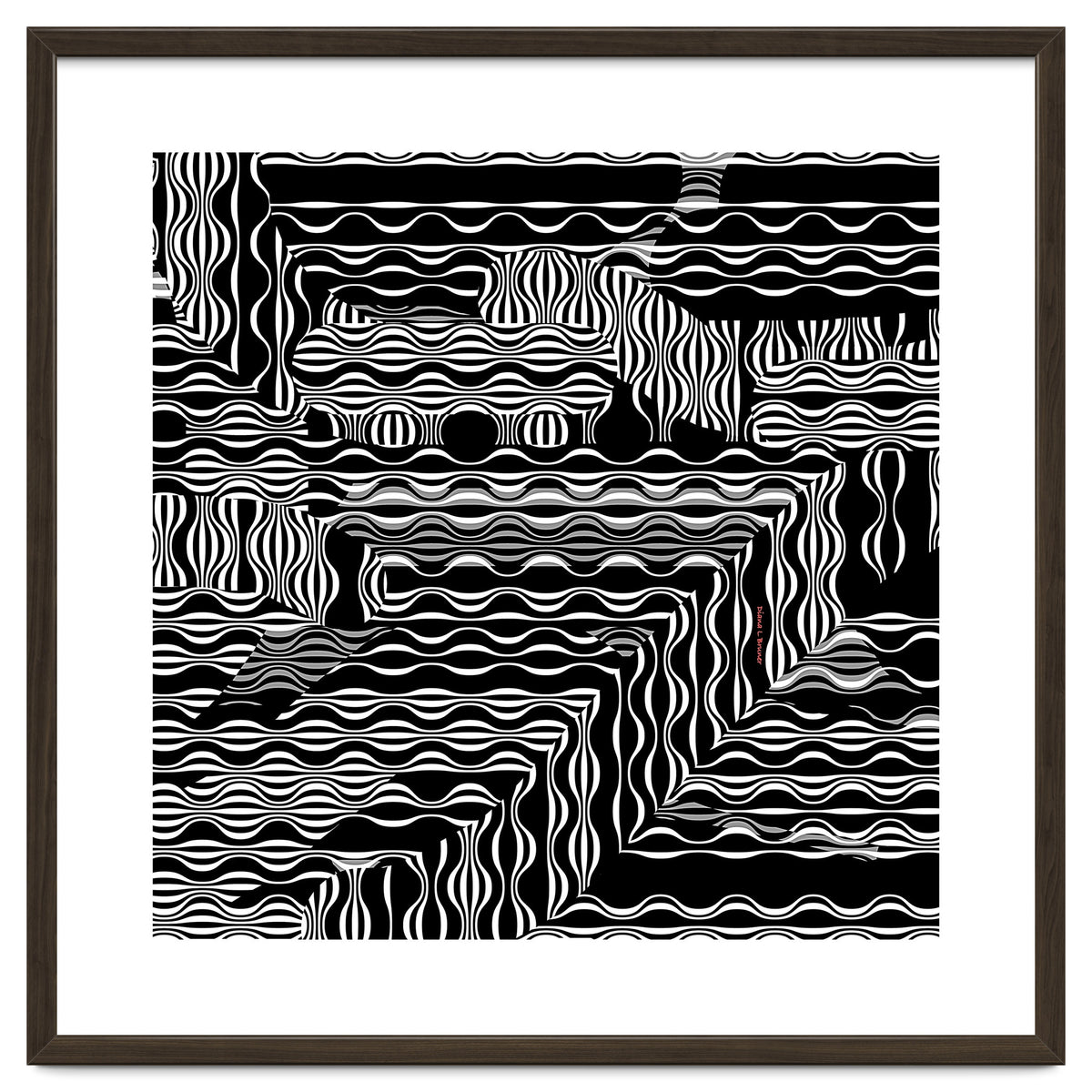 BLACK AND WHITE EXOTIC