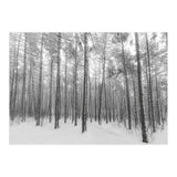 Let It Snow Forest (Print Only) thumbnail