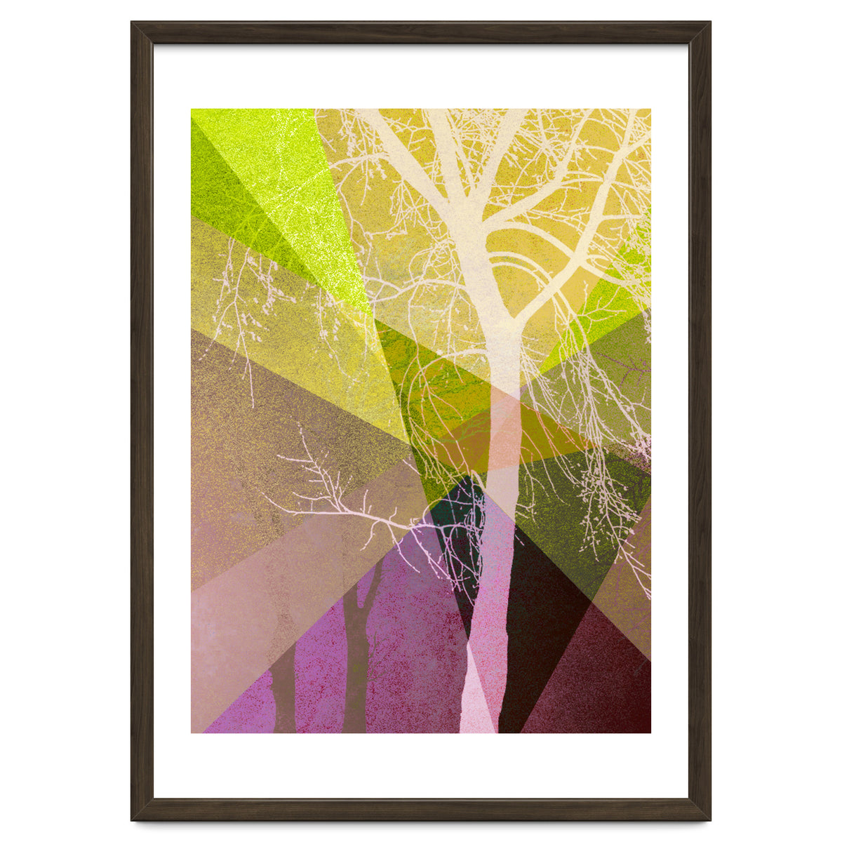 P22 A Trees And Triangles