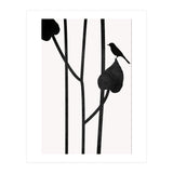 The Bird Noir (Print Only) thumbnail