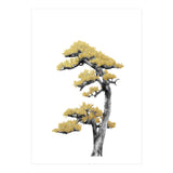Bonsai Tree 04 (Print Only) thumbnail