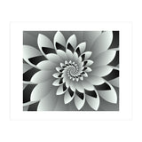 Black & White Floral (Print Only) thumbnail