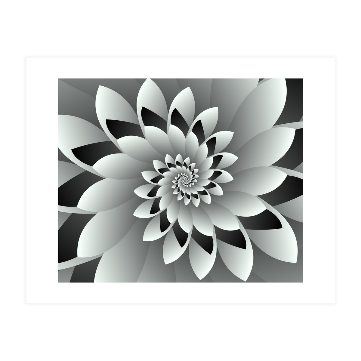 Black & White Floral (Print Only)