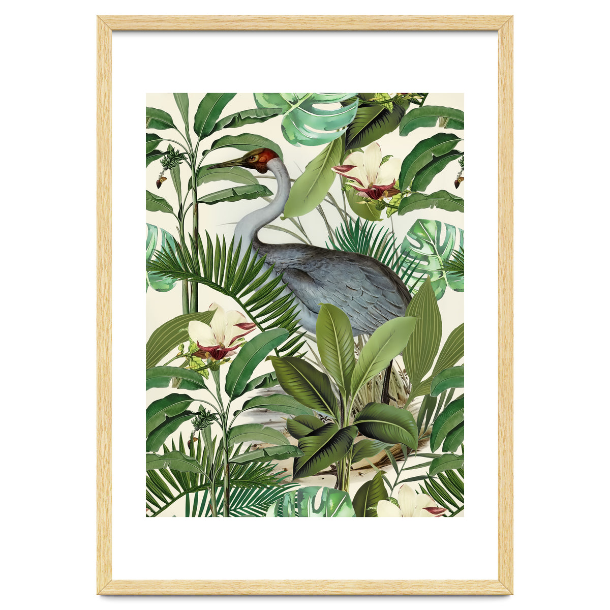 Tropical Heron