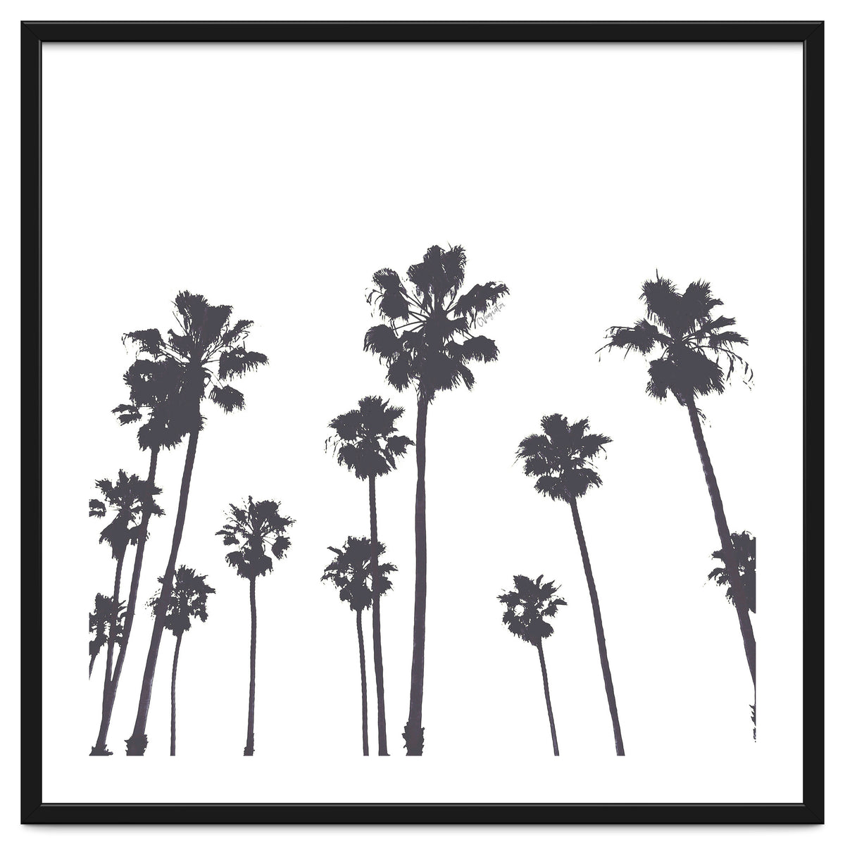 Palms & Sunset-Minimal B&W