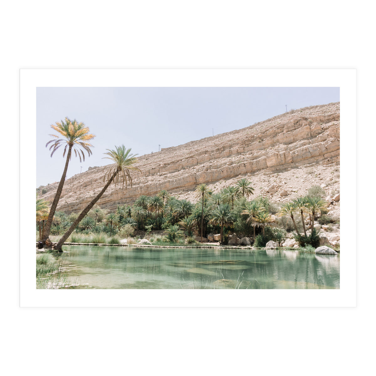 Tropical Oasis (Print Only)