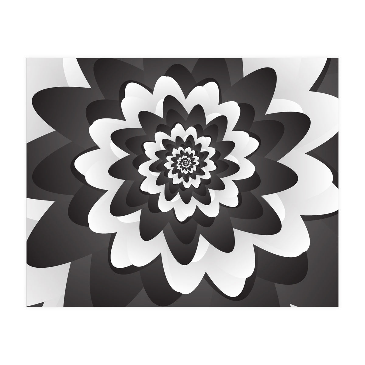 Mono Chrome Flower Spiral Pattern (Print Only)