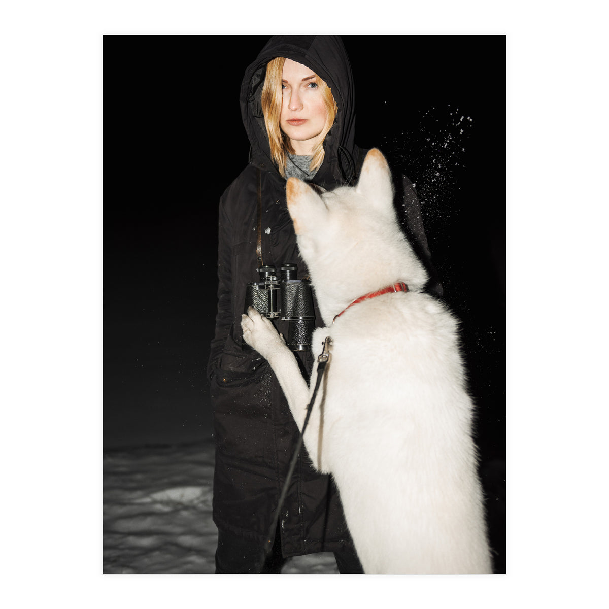 Wolf Gang (Print Only)