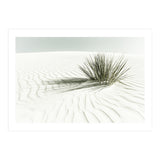 WHITE SANDS Idyllic scenery | Vintage (Print Only) thumbnail