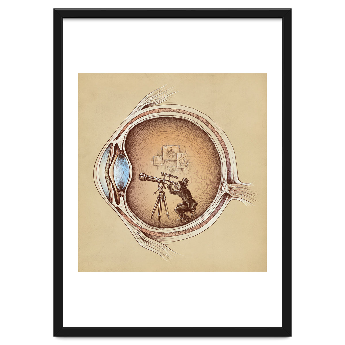 Extraordinary Observer