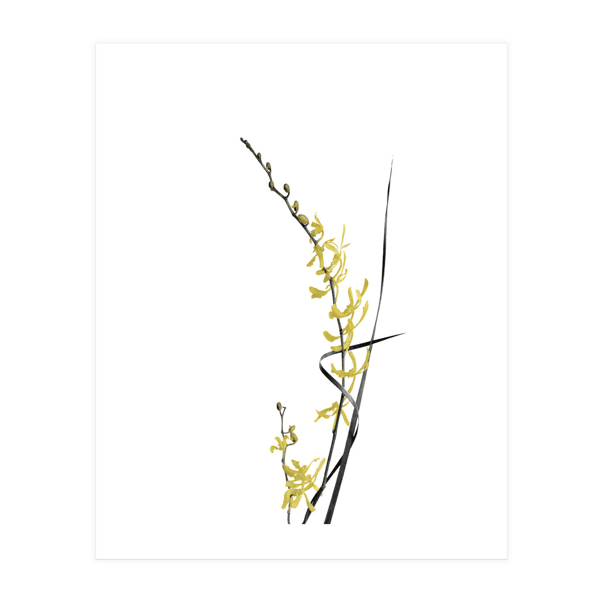 Flower Minimal Black And Gold 06 (Print Only)