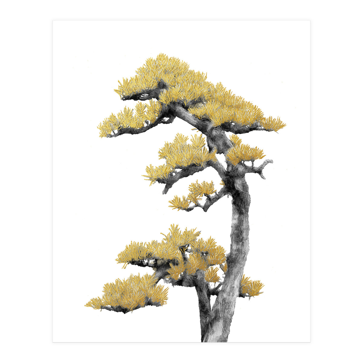 Bonsai Tree 04 (Print Only)