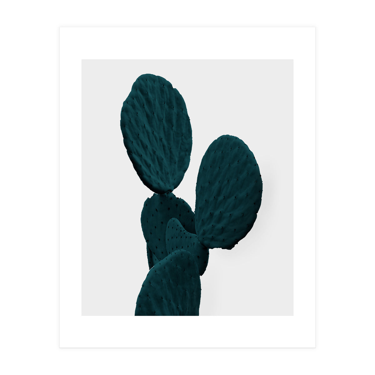 Cactus Art (Print Only)