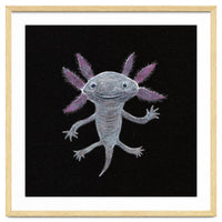 Axolotl